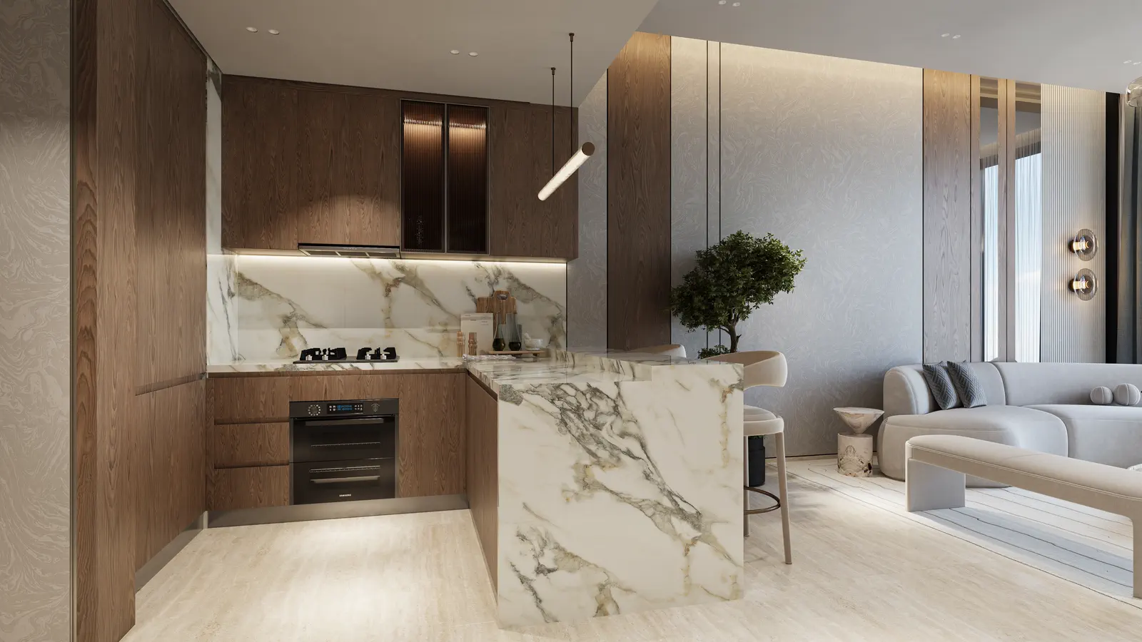 Living and kitchen interior